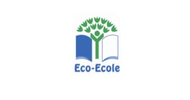 Notre établissement labellisé Eco-École – niveau PLATINE : une fierté collective !