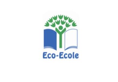 Notre établissement labellisé Eco-École – niveau PLATINE : une fierté collective !
