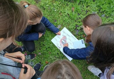 Sortie au parc Georges-Valbon