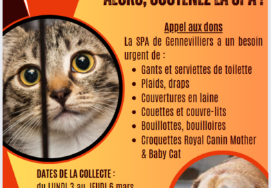 La 5e3, toujours mobilisée pour la cause animale !