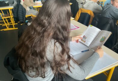 « Silence, on lit » – la découverte des alebrijes grâce à un livre