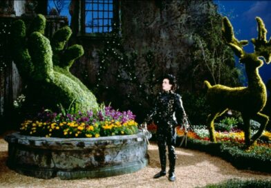 Collège au cinéma – Edward aux mains d&rsquo;argent