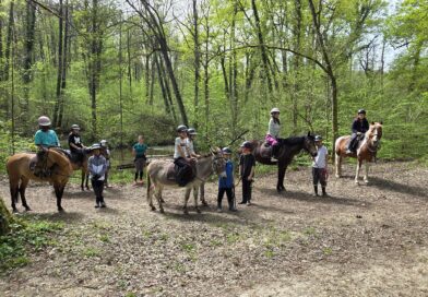Un projet poney pour les élèves de 6e 6 : apprendre en s’amusant